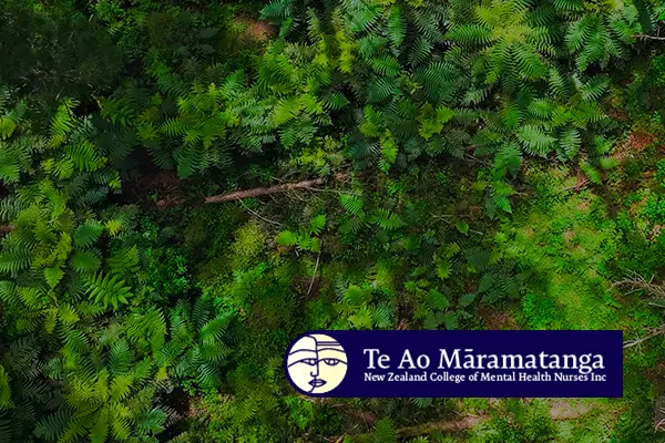 Te Ao Māramatanga Statement on the Royal Commission into Abuse in State Care